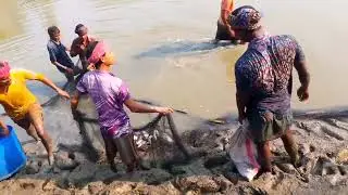 Amazon Village Fishing In The pond||Group Net Fishing