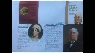 Video historia