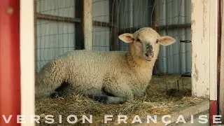 FarmStraw : Vid&eacute;o de produit (courte)