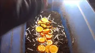 Citrus worm bin