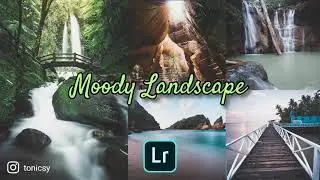 Moody Landscape presets || how to edit landscape pgotography using lightroom mobile || free download