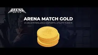 Arena Match   Обзор проекта