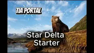 Star Delta Starter PLC Program: A Step-by-Step Guide