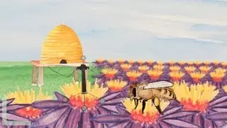 Робопчелы спешат на помощь | NOVA
