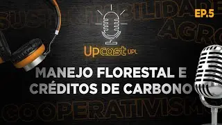 Manejo florestal e cr&eacute;ditos de carbono | UPCAST na COP30 - EP 05