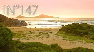 relaxdaily - Norman Island [N&deg;147]