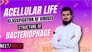 Acellular life -Discovery & Classification of Viruses | Structure of Bacteriophage | NEET/MDCAT 2024