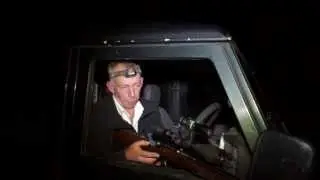 Rabbit Shooting at Night