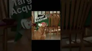 Dog Eating Popcorn in Slow Mo!?!