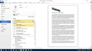 Print only Selected Text in MS Word