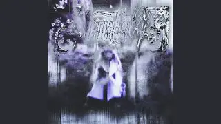 flash gate (slowed)