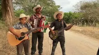 () 40 Cartas () Cover 
