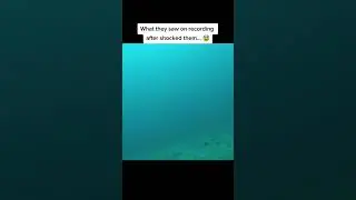 Real Proof That Mermaids Actually Exist&hellip; 🧜&zwj;♀️😳 #shorts