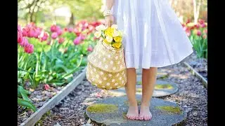 vol 1 - 4K Spring Piano Relaxing Music Video, Sleep Music, Calm Music, Study Music, Spa Music