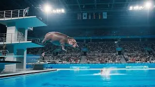 Самый эпичный прыжок с трамплина | Животные ныряют в воду