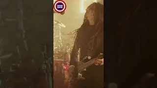 James Shaffer - Korn - Falling Away From Me - Nu Metal - Guitar Solo & Riff #shorts #guitarsolo