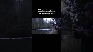 MASSIVE WILD STEELHEAD breaks my personal best! #fishing #pnw #viral #blowthisup #tiktok #instagram
