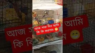 আজ সারা দিন আমি কি কি করলাম 😁 #ytshorts #minivlog #bongboyofficial-17#vlog #shorts