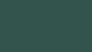 Dark slate gray
