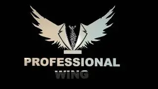 After Effects - Motion Graphics - Logo Intro - Pro Wing