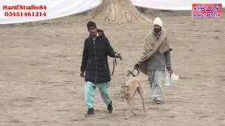 3 Jan 2021 round 4 Raj pur coursing race