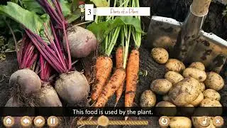 Ch 3 | Parts of a Plant | Science | Class 3 | For children