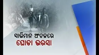 Reporter Live: Horse Remain as Only Mode of Transportation In Swabhiman Area of Malkangiri
