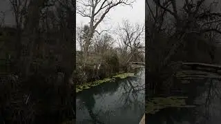 Fly Fishing for Sunfish and Bass in Urban Canal