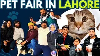 PET SHOW  IN LAHORE |Dog Show Pakistan | Reptiles | | Cat Show | Dogs For Sale in Pakistan 🐕| 