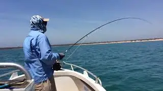 Chris Paris Fish of a Lifetime Longtail tuna on fly