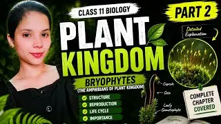 Plant kingdom 11 Biology Ncert line by line part 2#LearnSmart247
