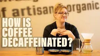 How Is Coffee Decaffeinated? | Mayorga Explains