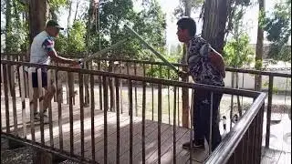 Combate de softcombat en puente Oscarin vs Levi