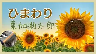 ひまわり「てっぱん」より　葉加瀬太郎（Taro Hakase）   エレクトーン演奏