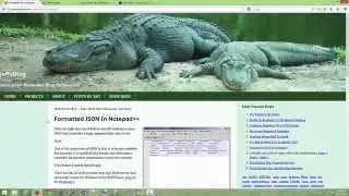 Formatting Json With Notepad ++ Tutorial