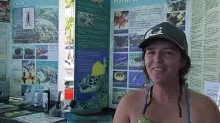 Aloha Adventures with Crystal Ra in Hawaii - Kahaluu Reef Teach Volunteer Day