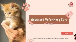 Advanced Veterinary Care of Plano