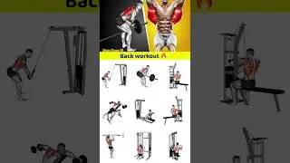 back workout, back workouts, back workout day, best back workout, home back workout, full back