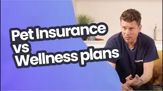 Pet Insurance vs Wellness Plans