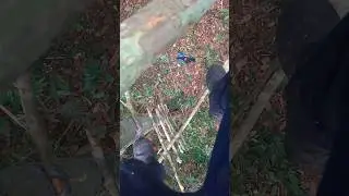 preparando o mut&aacute; e a ceva