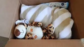 Surprise Reborn Baby Box Opening!!!
