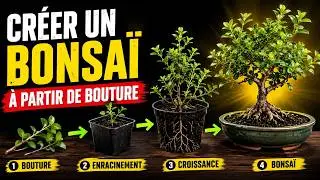 СОЗДАЙТЕ БОНСАЙ С НАРЕЗКОЙ 🌱 NEJIKAN BONSAI 🌱