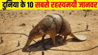 दुनिया के 10 सबसे रहस्यमय जानवर | Top 10 mysterious   animals in wold |
