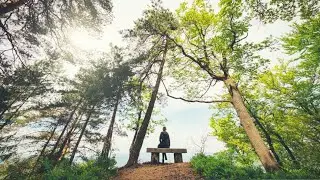 Why Mindfulness Helps with Weight Loss