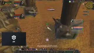 Rogue PVP Script WOTLK - Warmane