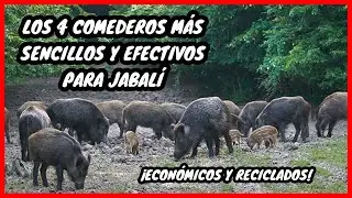 Fabrica 4 Comederos para jabalí sencillos y efectivos. Mejora el Cebadero y tu espera Wild boar, hog