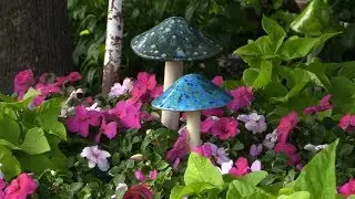 Take a Walking Tour of Naperville's Backyard Gardens