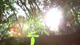 Eden Rabin- Spirited (official video)