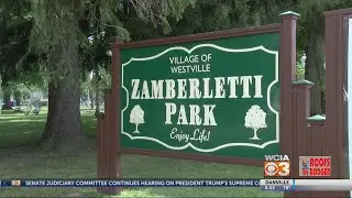Park Vandalism