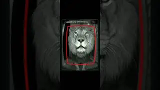 Ring Cam said &ldquo;motion detected&rdquo;.  It foget to say LION DETECTED.  #Trending#Reels#Shorts#Explore#FYP